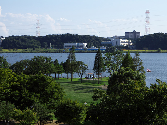 手賀沼公園