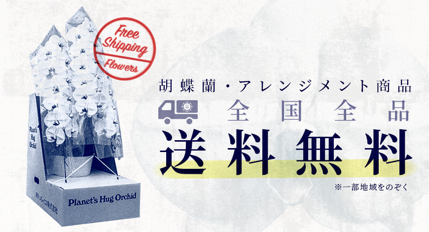 全国全品送料無料