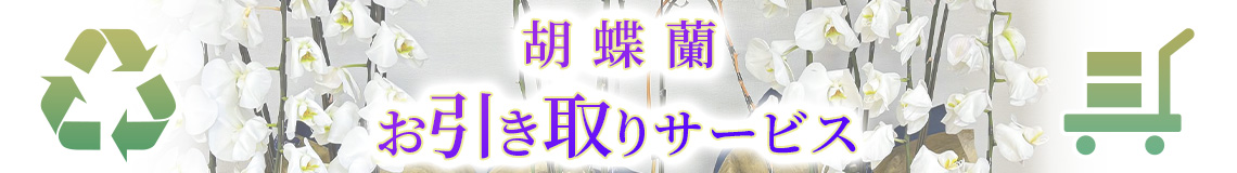 胡蝶蘭お引き取りサービス　バナー