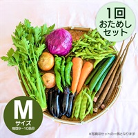 1回お届け【お試しセット／旬のおまかせ野菜 Ｍサイズ】