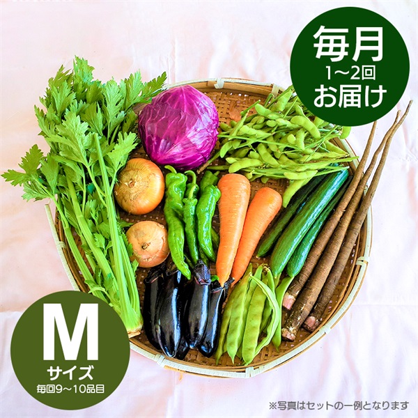 旬のおまかせ野菜　定期便　月1～2回　Mサイズ