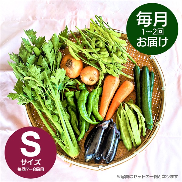 旬のおまかせ野菜　定期便　月1～2回　Ｓサイズ