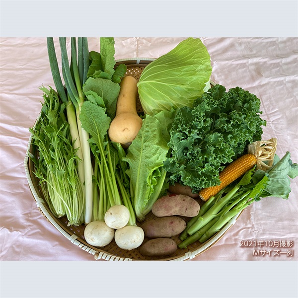totomon様野菜セット 週1回・宅配定期便 】「 平飼いたまご」と「 旬のおまかせ野菜